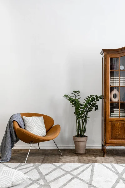 Pomarańczowy Fotel Kratą Pobliżu Drewnianej Biblioteczki Zamioculcas Houseplant Białym Tle — Zdjęcie stockowe