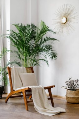 Parlak oturma odasının dikey görüntüsü boho şıklığında beyaz örülü ekose ve rahata uygun rattan koltuk. Hasır sandalye, saksı ev bitkileri, modern apartmanda ev dekorasyonu.