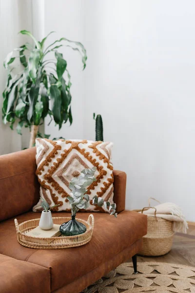 Vertical Shot Living Room Boho Style Cozy Apartment Brown Couch — Φωτογραφία Αρχείου