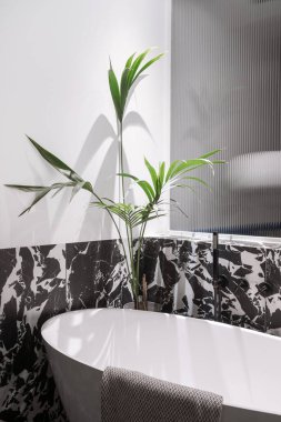 interior design in contemporary apartment with white bath, black shower head, marble tile on wall and green plant in bathroom