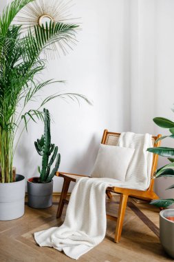 Element of cozy living room in bohemian apartment. Rattan chair with white cozy plaid standing close to green potted houseplants. Decor, plants and new furniture at home