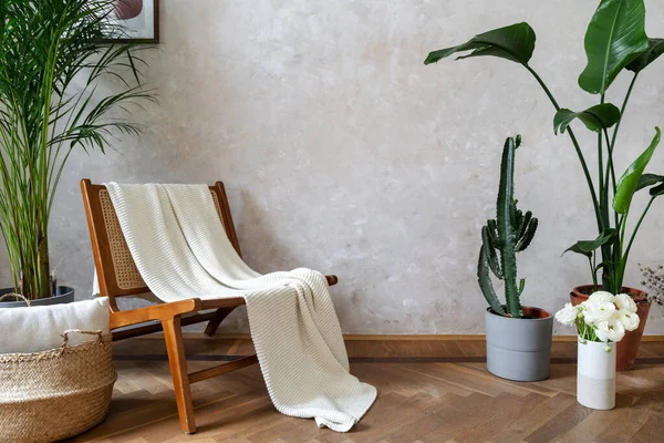 Böhmisches Wohnzimmer Mit Weißer Strickdecke Auf Holzsessel Zimmerpflanzen Und Weidenkorb — Stockfoto