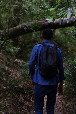 Öğleden sonra ışığında orman yolunda yürüyen bir adam. Bir erkek gezgin ormanda yürüyor. Hayatta kalan ormanda yürür.
