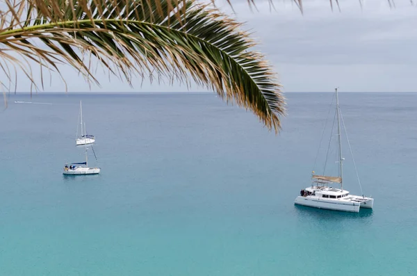 group of people sailing on a sailing catamaran in the turquoise sea on a cloudy day. view from above. two yachts and a catamaran under a palm leaf. mediterranean sea from canary islands.