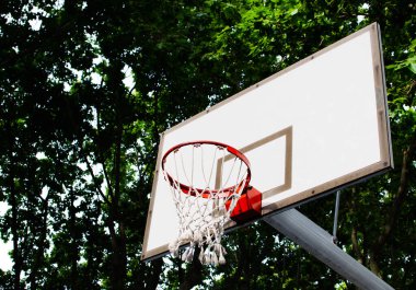 Beyaz basketbol tahtasının yan görünüşü. Mahkeme, birçok yeşil ağacın bulunduğu büyük bir halk parkında yer almaktadır. Spor konsepti, hedefler.