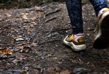 Sonbaharda bir orman patikası boyunca yürüyen bir yürüyüşçünün ayak ve ayakkabısının yakın çekimi. Kökler gün ışığına çıkıyor ve mevsim için birkaç yaprak dökülüyor. Kaygısız kadın ilerler, dayanıklılık ve özgüven kavramı