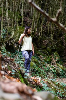 Genç yürüyüşçü ormanda duruyor. Bir sonbahar öğleden sonrasında ağaçların arasında poz veren bir kadın. Etrafındaki manzaraya bakarken destek için büyük bir dal tutuyor..