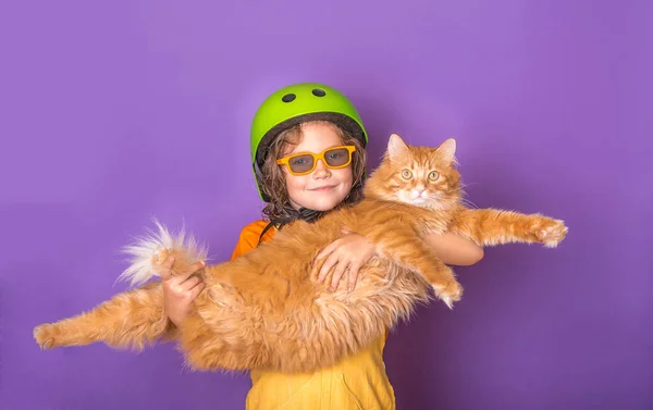 抱着大姜汁猫的小孩。宠物的主人带着有趣的超重的猫，背景五彩斑斓。大毛茸茸的橙色猫躺在手上. — 图库照片