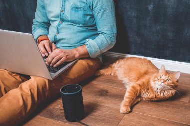 Ofiste çalışma alanı. Diz üstü bilgisayarı olan bir adam ahşap zeminde oturuyor. Alexa Hoparlörünün yanında yatan evcil kedi. Bilgisayarda çalışan bir adam. Akıllı ses kontrolünden müzik çalmak