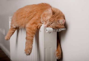 Kızıl kedi sıcak bir radyatörde dinlenirken komik bir şekilde uyuyor. Evcil kedili ısıtıcı.