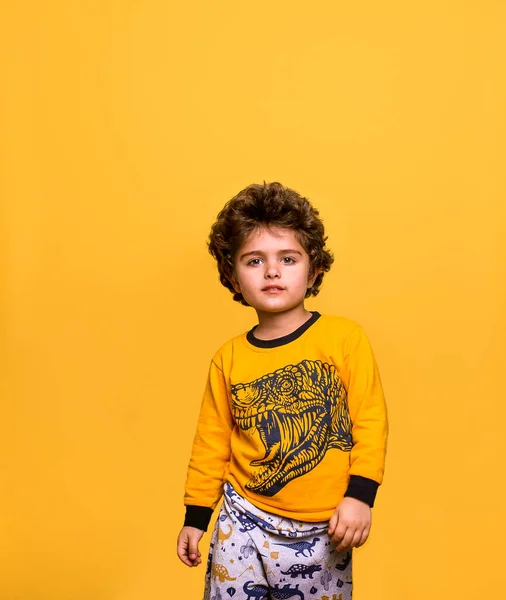英俊、 5岁、自信的小孩站在黄色背景上的画像。西班牙卷发男孩。小子在镜头前看 — 图库照片