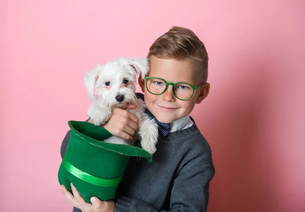 在圣帕克斯节庆祝会上,一个戴着绿帽子、头戴小白狗的有趣小男孩.戴绿眼镜的孩子们拥抱着宠物.快乐有趣的学童 — 图库照片