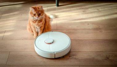 Ahşap zeminde beyaz robot elektrikli süpürge. Oturma odasında yerde kızıl kedi. Robotun yerleri nasıl temizlediğine bak.
