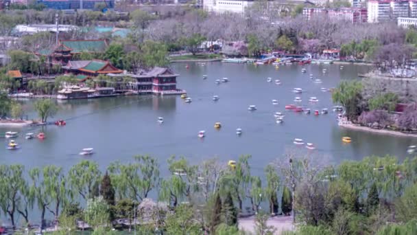 Lapso Tempo Pedal Barcos Lago Sintético Pequim Timelapse Lagoa Parque — Vídeo de Stock