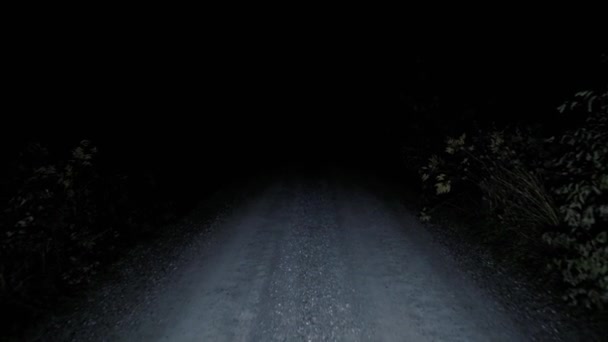 Moving Gravel Road Dark Lost Walking Empty Creepy Road Night — 图库视频影像