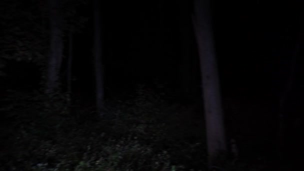 Lost Forest Night Scared Witch Old Woman Deep Dark Woods — Vídeo de Stock