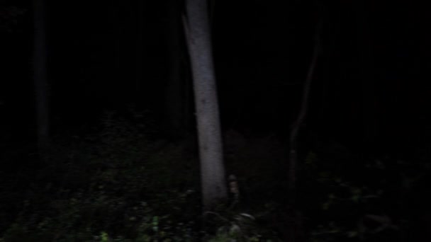 Zagubiony Lesie Nocy Straszną Wiedźmą Stara Kobieta Głębokim Ciemnym Lesie — Wideo stockowe