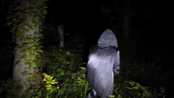 Karanlık Ürkütücü Ormanda Yürüyen Yaşlı Cadı Karanlıkta Zifiri Karanlıkta Ilerleyen — Stok video