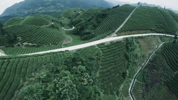 Drone Tiro Inverso Aéreo Campos Chá Pagode China Rural Voar — Vídeo de Stock