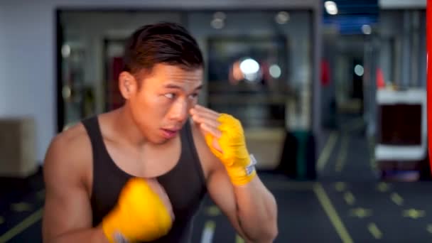 Hombre Asiático Golpeando Lentitud Bolsa Pesada Chino Culturistas Entrenamiento Boxeo — Vídeos de Stock