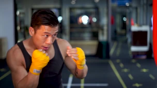 Asian Man Slow Motion Shadowboxing Training Gym 아시아인 훈련중 보디빌더가 — 비디오