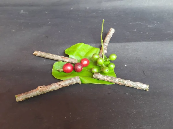 Giloy Röd Frukt Grön Frukt Och Blad Tinospora Cordifolia Som — Stockfoto