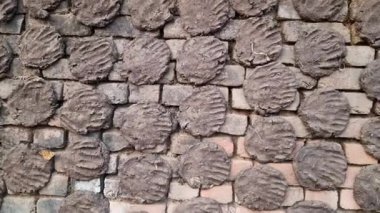 Hindistan 'ın köylerinde yemek yapmak için kullanılan inek gübresi ya da gobar. İnek gübresi aynı zamanda Hindu dinî ateşinde de kullanılır. El yapımı inek gübresi kekleri. Kurutulmuş inek gübresi.