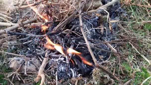 Fuego Madera Gente Del Pueblo Calienta Fuego Clima Frío Zona — Vídeos de Stock