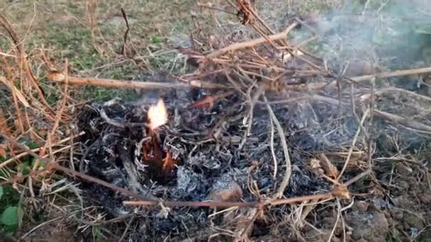 Houten Vuur Mensen Van Dorp Verwarming Vuur Bij Koud Weer — Stockvideo