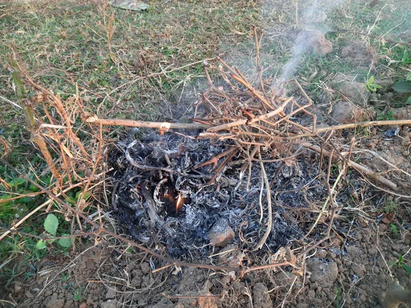 木の火だ 寒い日に村の暖房火災の人々 インドの農村部 薪の炎 — ストック写真