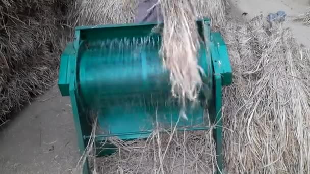탈곡기 이것은 움직이는 기계입니다 기계는 합니다 분야에서 기계가 도입되면서 농부들은 — 비디오