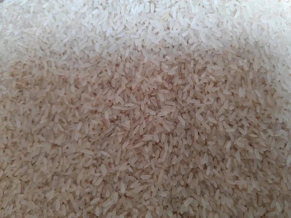 Азиатский Белый Рис Неприготовленный Рис Наиболее Широко Употребляемое Основное Продовольствие — стоковое фото