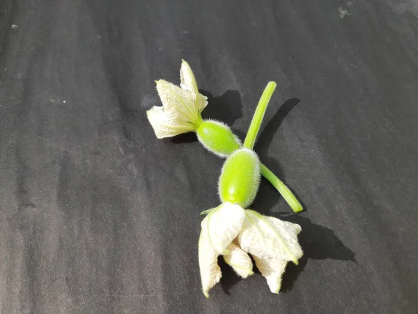 Petite Bouteille Fruits Gourde Avec Des Fleurs Fond Noir Ses — Photo