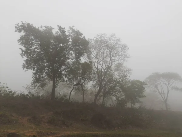 秋天雾蒙蒙的美丽风景 多雾的早晨 美丽的森林里结满了白霜 印度森林里多雾的晨景 雾和毛毛雨 — 图库照片