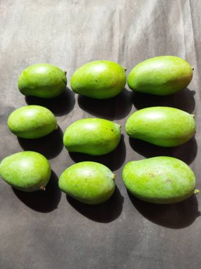 Siyah arka planda çiğ mango. Mango popüler bir meyvedir, ayrıca meyvelerin kralı olarak da bilinir. Turşusu çok lezzetli. Pişirilir ve sebzeye dönüştürülür. Siyah arkaplanda yeşil mango. 