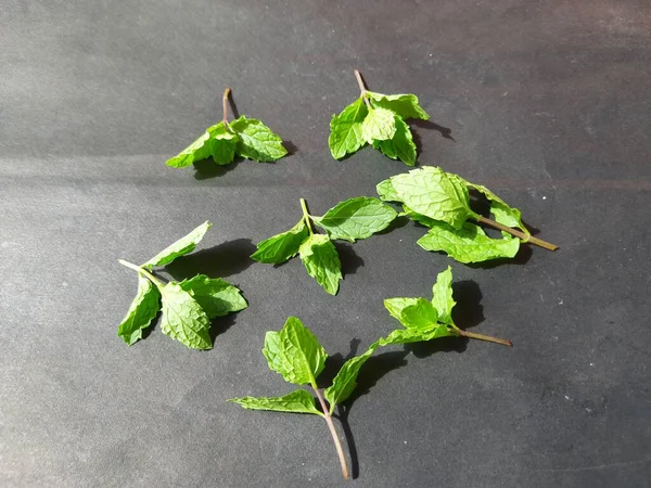 Nane yaprakları siyah arkaplanda. Nane, Mentha cinsine ait uzun ömürlü aromatik bir bitkidir. Türleri Avrupa, Amerika ve Asya 'da bulunur. Neredeyse her yerde bulunur..