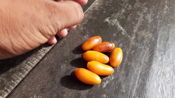 Fruit Mûr Phoenix Dactylifera Ses Autres Noms Daté Palmier Est — Video