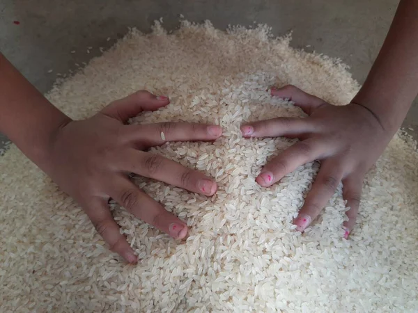 Rice Pile Rice Grain Food Item Fills Stomach Large Population — стоковое фото