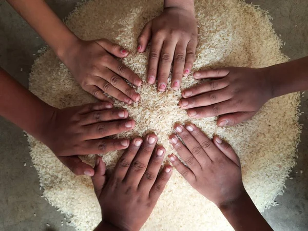 Rice Pile Rice Grain Food Item Fills Stomach Large Population — стоковое фото