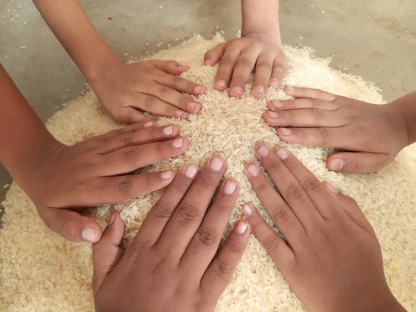 Rice Pile Rice Grain Food Item Fills Stomach Large Population — стоковое фото