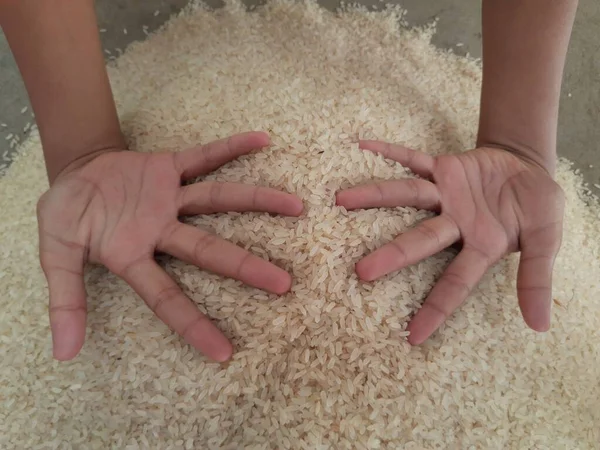Rice Pile Rice Grain Food Item Fills Stomach Large Population — Photo