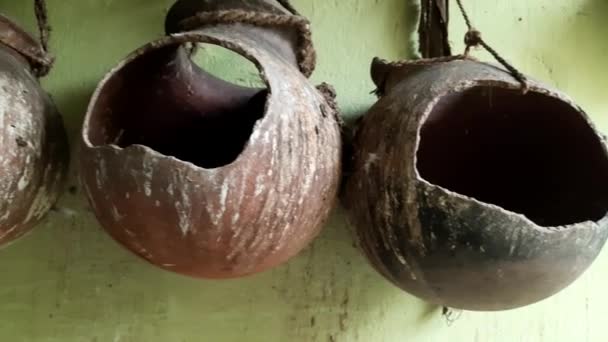 Ninho Pombo Este Ninho Feito Vasos Barro Ninho Pombo Tradicional — Vídeo de Stock