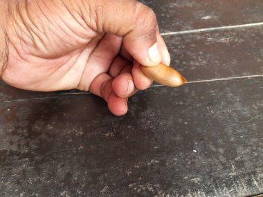 Madhuca Longifolia meyve tohumu. Petrol ondan çıkarılır. Diğer adları: mahuka, mahuwa, mahwa, mohulo, Iluppai, vippa chettu. İndiantropik ağaç tohumları