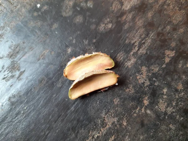 Madhuca Longifolia Fruit Seed Oil Extracted Its Other Namesmadhuka Mahuwa — Photo