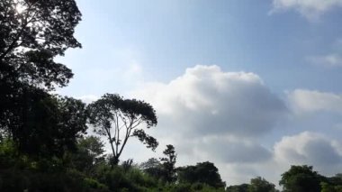 Mavi gökyüzü ve güzel bulut ile çayır ağacı. Mavi gökyüzü beyaz bulutlar. Yumuşak beyaz bulutlar. Bulut hızlandırılmış doğa geçmişi. Yaz mavisi gökyüzü zaman aşımı. Bulut zaman aşımı.