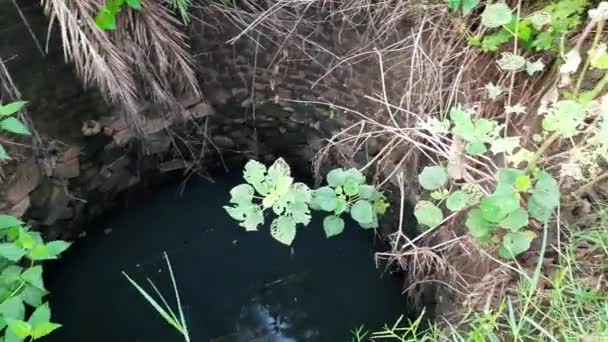 Old Water Well Common See Wells Fields India Earlier Used — ストック動画