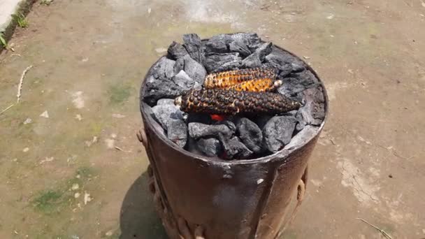 Ψητά Κοτσάνια Καλαμποκιού Στη Σόμπα Κάρβουνου Φρέσκα Καβουρδισμένα Κοτσάνια Καλαμποκιού — Αρχείο Βίντεο
