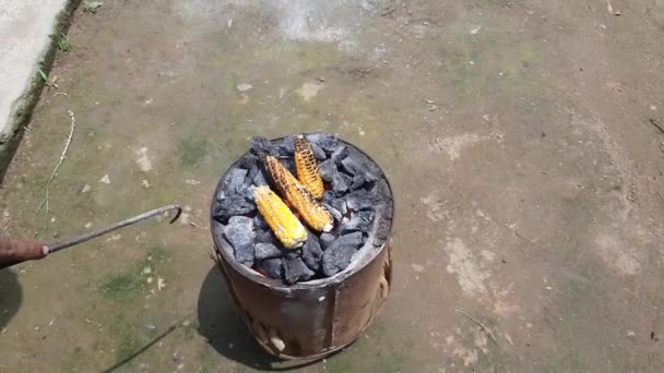 Grilled Corn Cobs Coal Stove Fresh Roasted Corncobs Coal Fire — Vídeo de Stock