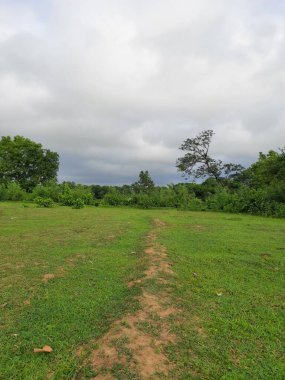 Blue sky and beautiful cloud with meadow tree. Blue sky white clouds. Fluffy white clouds. Summer blue sky. Beautiful view of landscape and blue sky.
