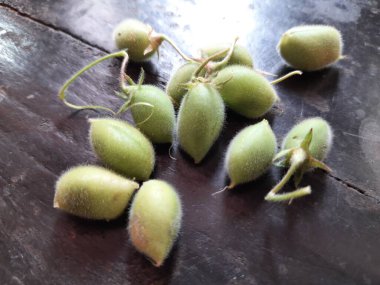 Siyah arka planda taze yeşil nohut kabuğu var. Nohut, Fabaceae ailesinin yıllık adıdır. Nohut çekirdekleri yüksek proteinlidir. Diğer adı Bengal gram, garbanzo, garbanzo fasulyesi, Mısır bezelyesi.. 